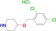 4-(2,4-Dichloro-benzyloxy)-piperidine hydrochloride