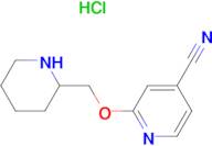 2-(Piperidin-2-ylmethoxy)-isonicotinonitrile hydrochloride