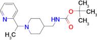 [1-(1-Pyridin-2-yl-ethyl)-piperidin-4-ylmethyl]-carbamic acid tert-butyl ester