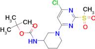 [1-(6-Chloro-2-methanesulfonyl-pyrimidin-4-yl)-piperidin-3-yl]-carbamic acid tert-butyl ester