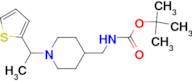 [1-(1-Thiophen-2-yl-ethyl)-piperidin-4-ylmethyl]-carbamic acid tert-butyl ester