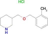 3-(2-Methyl-benzyloxymethyl)-piperidine hydrochloride