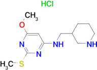 (6-Methoxy-2-methylsulfanyl-pyrimidin-4-yl)-piperidin-3-ylmethyl-amine hydrochloride