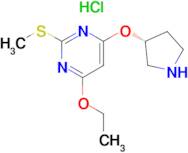 4-Ethoxy-2-methylsulfanyl-6-((R)-pyrrolidin-3-yloxy)-pyrimidine hydrochloride