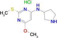 (6-Methoxy-2-methylsulfanyl-pyrimidin-4-yl)-pyrrolidin-3-yl-amine hydrochloride