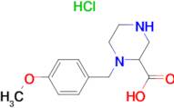 1-(4-Methoxy-benzyl)-piperazine-2-carboxylic acid hydrochloride