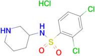 2,4-Dichloro-N-piperidin-3-yl-benzenesulfonamide hydrochloride