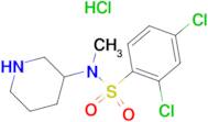 2,4-Dichloro-N-methyl-N-piperidin-3-yl-benzenesulfonamide hydrochloride