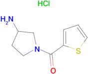 (3-Amino-pyrrolidin-1-yl)-thiophen-2-yl-methanone hydrochloride