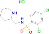 2,4-Dichloro-N-piperidin-2-ylmethyl-benzenesulfonamide hydrochloride