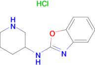 Benzooxazol-2-yl-piperidin-3-yl-amine hydrochloride