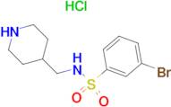 3-Bromo-N-piperidin-4-ylmethyl-benzenesulfonamide hydrochloride