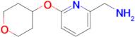 [6-(Oxan-4-yloxy)pyridin-2-yl]methanamine