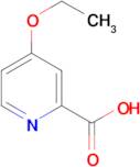 4-Ethoxypyridine-2-carboxylic acid