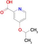 4-(Propan-2-yloxy)pyridine-2-carboxylic acid