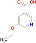 5-Ethoxypyridine-3-carboxylic acid