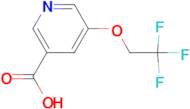 5-(2,2,2-Trifluoroethoxy)pyridine-3-carboxylic acid