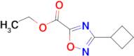 Ethyl 3-cyclobutyl-1,2,4-oxadiazole-5-carboxylate
