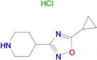 4-(5-Cyclopropyl-1,2,4-oxadiazol-3-yl)piperidine hydrochloride