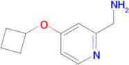 (4-Cyclobutoxypyridin-2-yl)methanamine