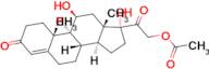 Hydrocortisone acetate