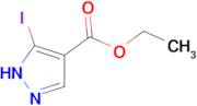 Ethyl 3-iodo-1H-pyrazole-4-carboxylate