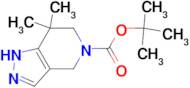 tert-Butyl 7,7-dimethyl-6,7-dihydro-1H-pyrazolo[4,3-c]pyridine-5(4H)-carboxylate