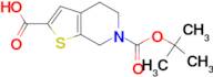 6-(tert-Butoxycarbonyl)-4,5,6,7-tetrahydrothieno[2,3-c]pyridine-2-carboxylic acid