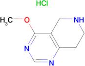 4-Methoxy-5,6,7,8-tetrahydropyrido[4,3-d]pyrimidine hydrochloride