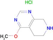 4-Methoxy-5,6,7,8-tetrahydropyrido[3,4-d]pyrimidine hydrochloride