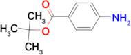 tert-Butyl-4-aminobenzoate
