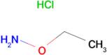 Ethoxyamine hydrochloride