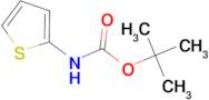 tert-Butyl thiophen-2-ylcarbamate