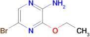 2-Amino-5-bromo-3-ethoxypyrazine