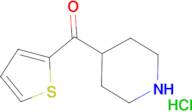 Piperidin-4-yl(thiophen-2-yl)methanone hydrochloride