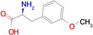 (S)-2-Amino-3-(3-methoxyphenyl)propionic acid