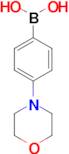 4-Morpholinophenylboronic acid (contains varying amounts of anhydride)