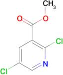 Methyl2,5-dichloronicotinate