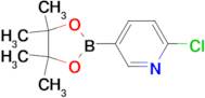 2-Chloro-5-(4,4,5,5-tetramethyl-1,3,2-dioxaborolan-2-yl)pyridine