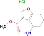 Methyl 4-amino-4,5,6,7-tetrahydrobenzofuran-3-carboxylate hydrochloride