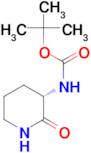 Tert-Butyl (S)-2-oxopiperidin-3-ylcarbamate