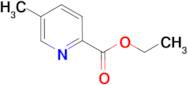 Ethyl 5-methylpicolinate