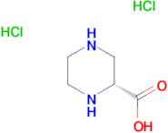 (R)-(+)-Piperazine-2-carboxylic acid dihydrochloride
