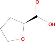 (S)-Tetrahydrofuran-2-carboxylic acid