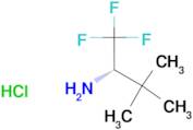 (S)-2,2-Dimethyl-1-trifluoromethyl-propylaminehydrochloride