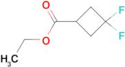 Ethyl 3,3-difluorocyclobutanecarboxylate