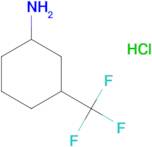 3-(Trifluoromethyl)cyclohexylamine hydrochloride