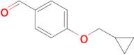 4-(Cyclopropylmethoxy)benzaldehyde