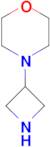 4-(Azetidin-3-yl)morpholine