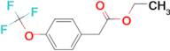 Ethyl 2-(4-(trifluoromethoxy)phenyl)acetate